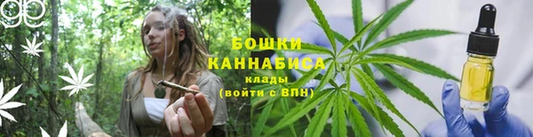 сатива Покровск