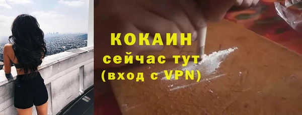 соль ск Алзамай