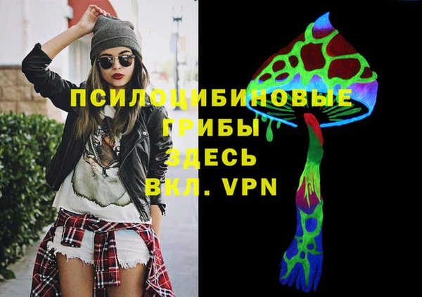 соль ск Алзамай