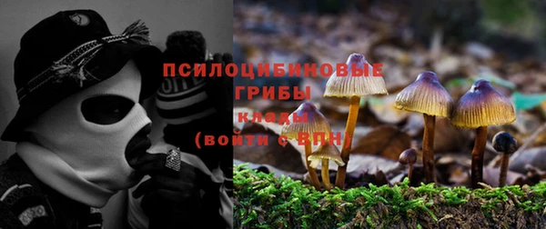 соль ск Алзамай