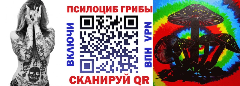 Псилоцибиновые грибы Psilocybe  гидра рабочий сайт  Карачаевск 